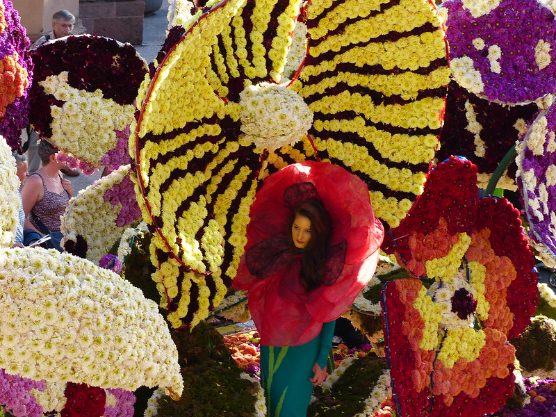 Corso fleuri Sélestat