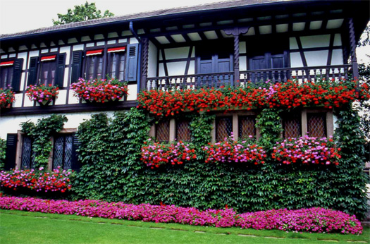 Maison-fleurie-Diebosheim