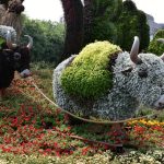 objet-insolite-fleuri