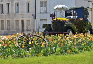 parterre fleuri